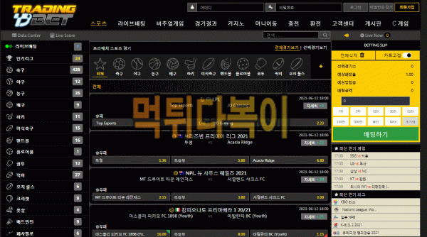 ●먹튀인증● 트레이딩벳 먹튀 검증 TRADINGBET #먹튀확정# Trd-blue.com 먹튀사이트
